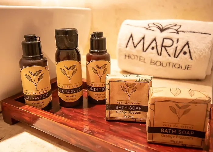 Hotel Boutique Maria Morelia