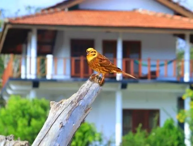 Pearl Cave Cabanas & Resturant Tangalle