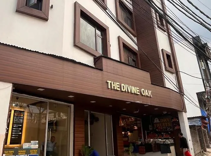 The Divine Oak Hotel Katra 