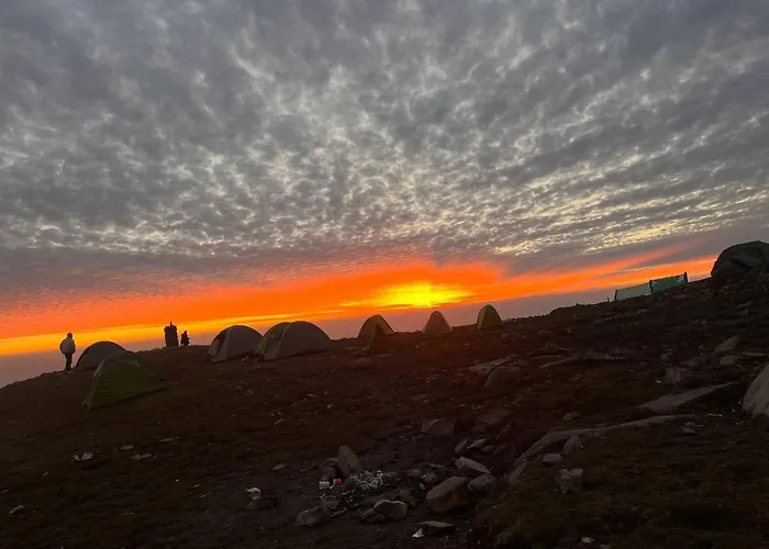 Triund Trek And Camping Hotel Dharamshala