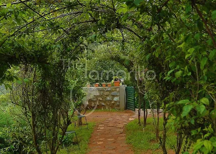 The Tamarillo Bed & Breakfast Ooty