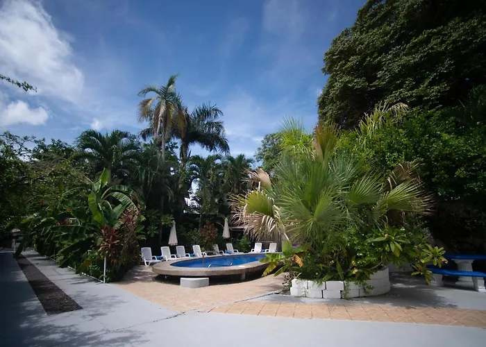 Bed and Breakfast La Perlita Jacó