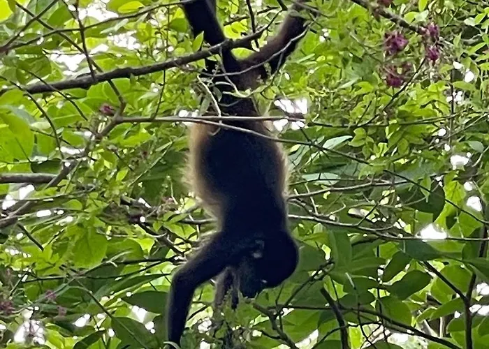 Casita Ylang Ylang Hotel Nosara