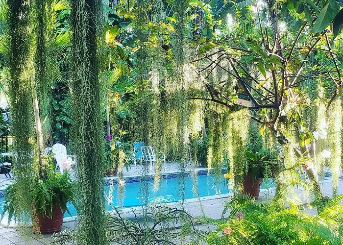 Orchid Cottage Kingston