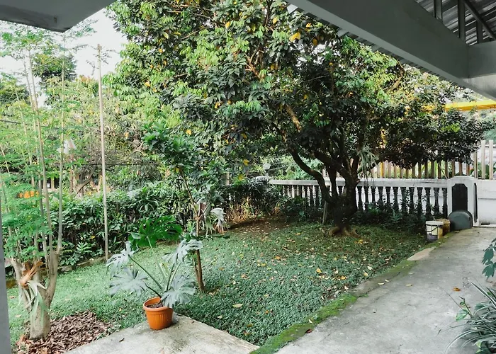 Rumah Daun Guest House Bogor