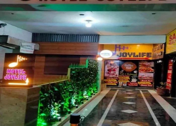 Hotel Joylife- Chotu Ram Chowk Rohtak Haryana