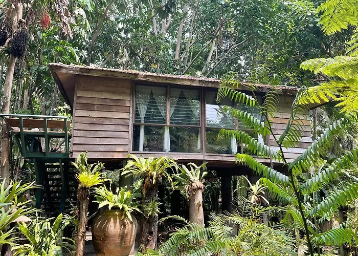 Fern Paradise Chiang Mai