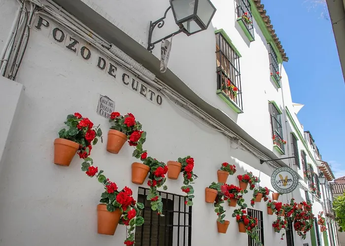 Vitium Cordoba Hotel