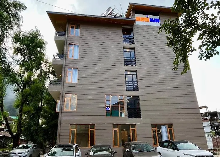 Hotel Heaven Bliss Manali 
