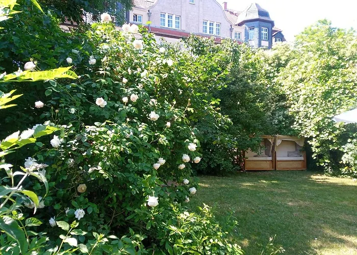 Hotel Hollerbusch Weimar 