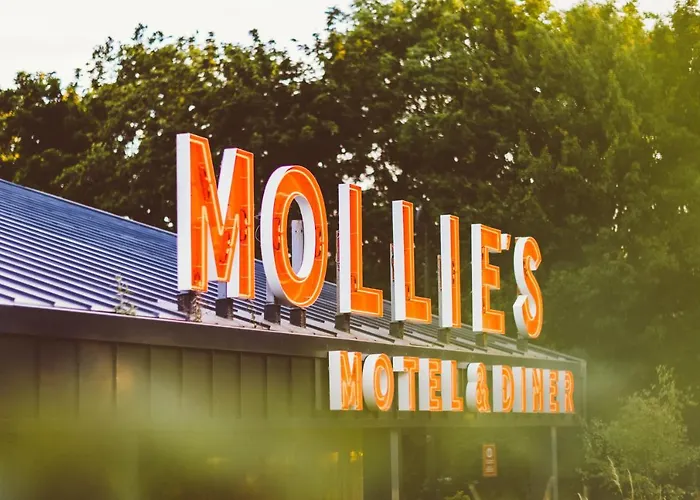 Mollie'S Oxford Hotel Faringdon