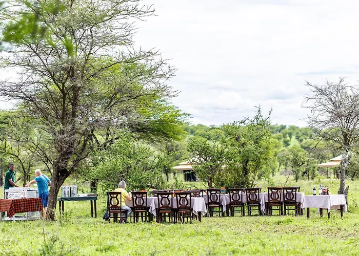 Serengeti Wild Camp