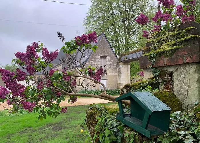 Hotel La Grange d Ave à Luynes 