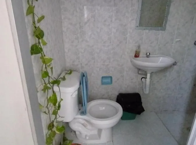 Hotel casa bambú Palenque