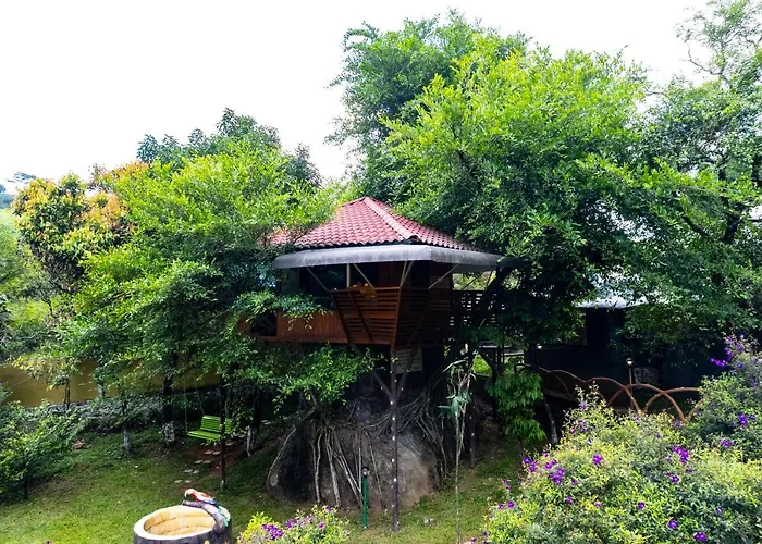 Treehouse Tabor Hills Resort Vagamon