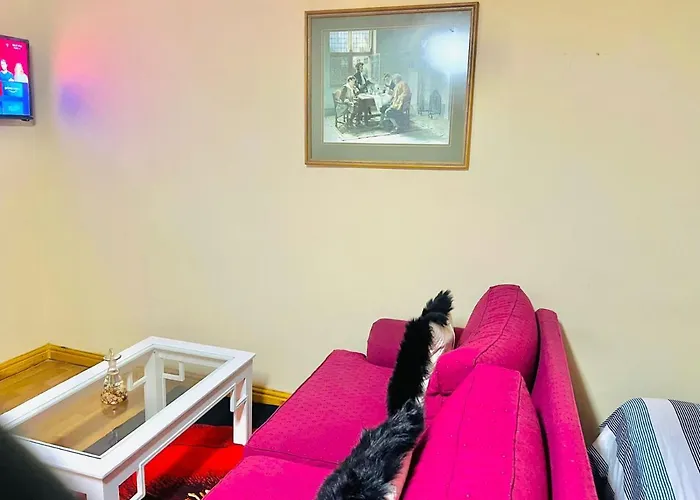 Affordable Guest House At Great Choice Guest Houses Cape Town