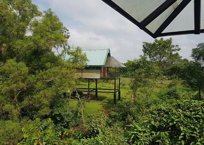 Nice Place Resort Dambulla