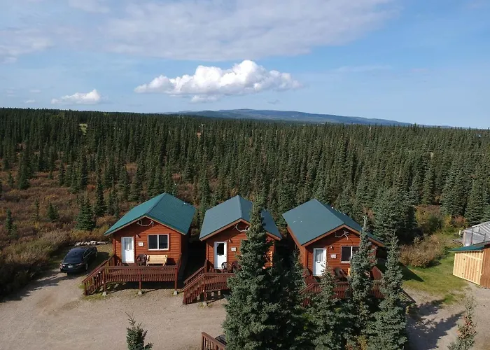 Denali'S Alaskan Spruce Cabins Healy