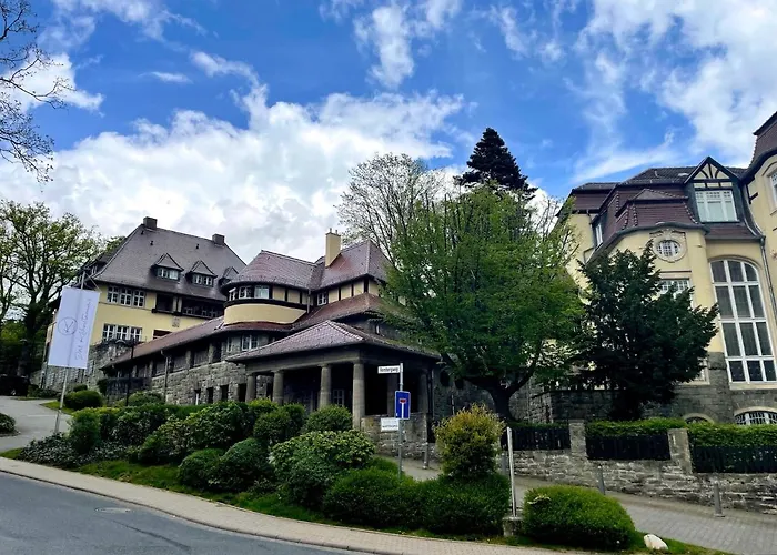 Das Kohnstamm Königstein im Taunus