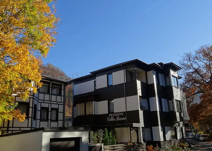 Pension Villa Irene Bad Harzburg