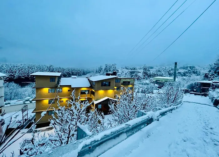 Hotel Prini Palace Manali 