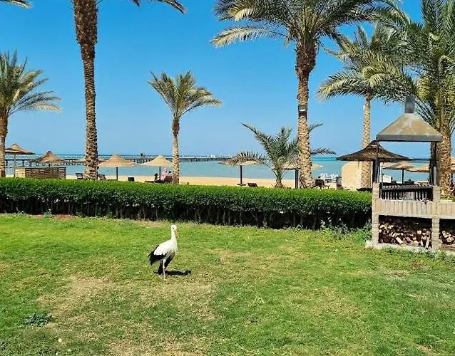 Palma Resort Hurghada