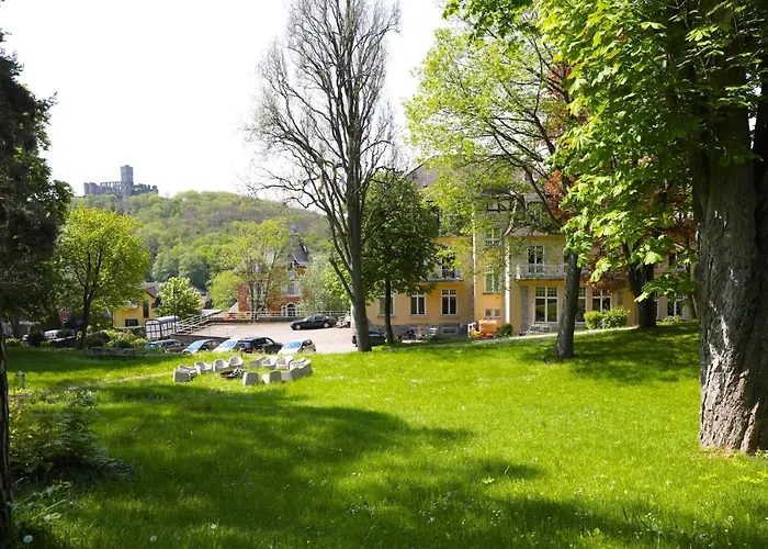 Das Kohnstamm Königstein im Taunus
