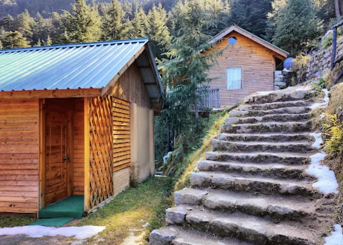 Mid Conifer Cottage Dalhousie