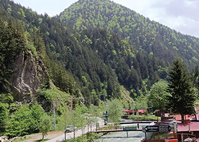 Uzungol Soylu Hotel