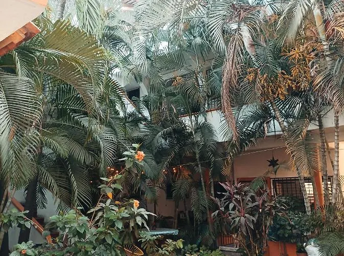 Hotel Villa Tulipanes Zihuatanejo
