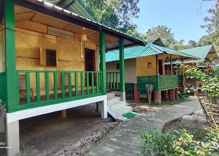 Nature Hunt Eco Camp Kaziranga