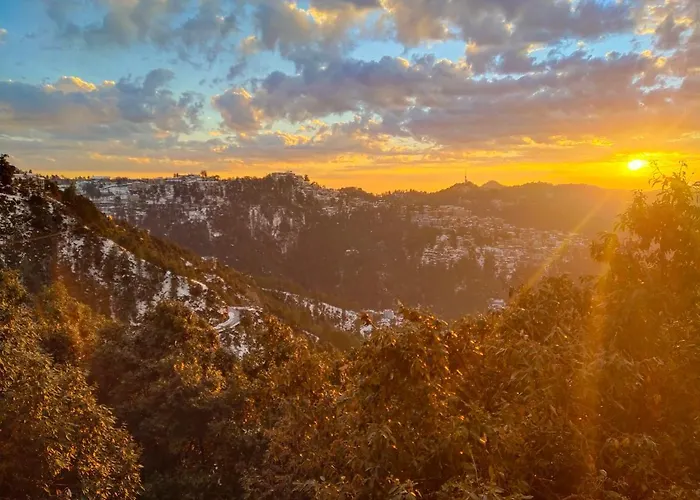 Dhanlaxmi Apartments Shimla