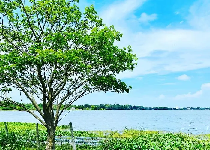 Lake View Cottage Tissamaharama