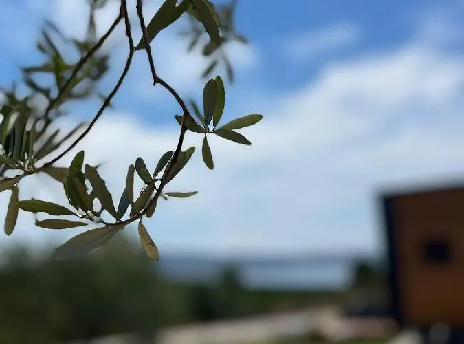 Zu Urla Otel