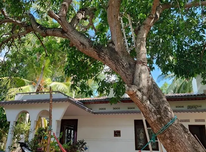 The White House Hotel Trincomalee