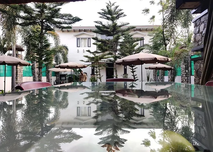 The Corbett Jungle By Jitainn Ramnagar 