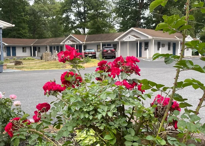 Pennswoods Inn Manheim