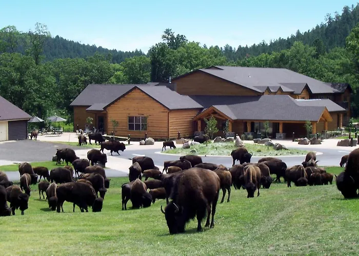 Creekside Lodge At Custer State Park Resort