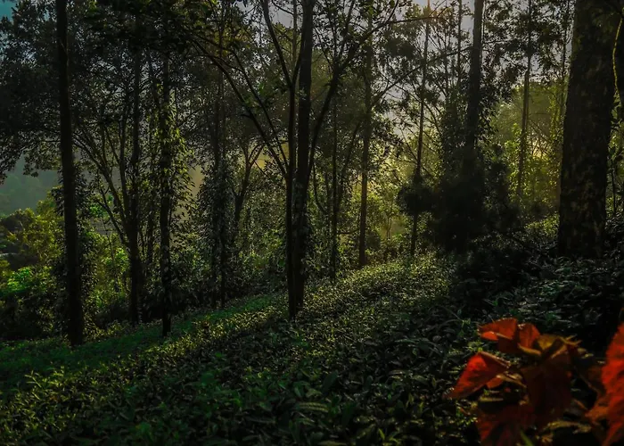 Southern Panorama Indriya Resorts & Spa Munnar