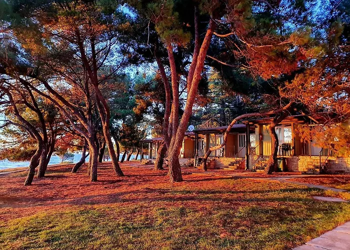 Family Bungalow Pineta Novigrad Istria