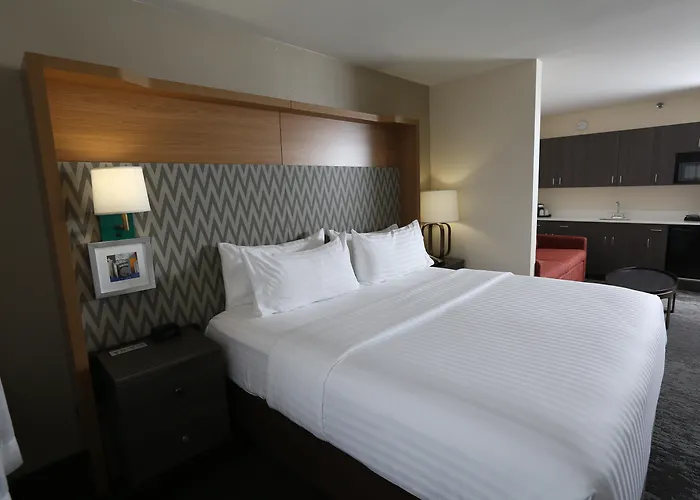 Holiday Inn Chicago North Shore By Ihg Skokie