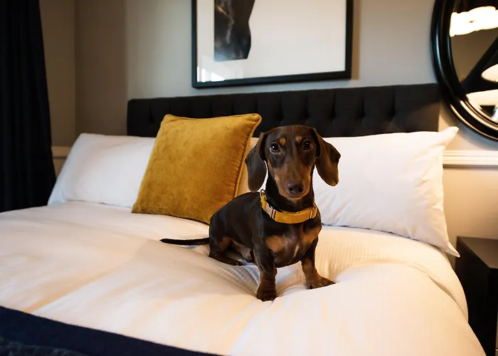Voco Kirkton Park Hunter Valley By Ihg Pokolbin