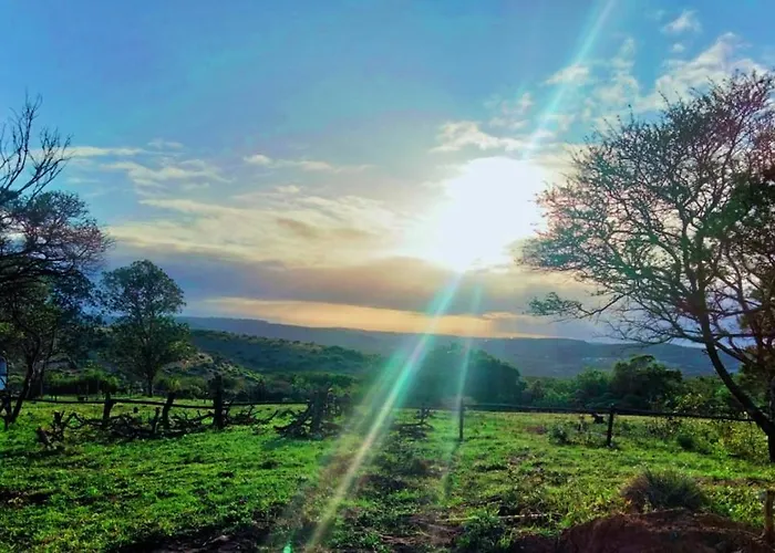 Fig Tree Farm Hotel East London
