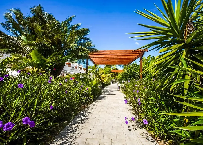Parque don Jose apartment Costa del Silencio