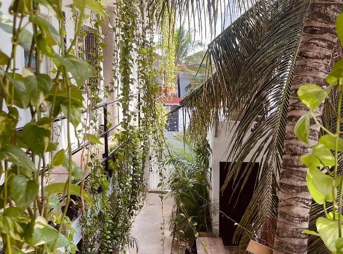 Anana Coliving Hotel Playa del Carmen