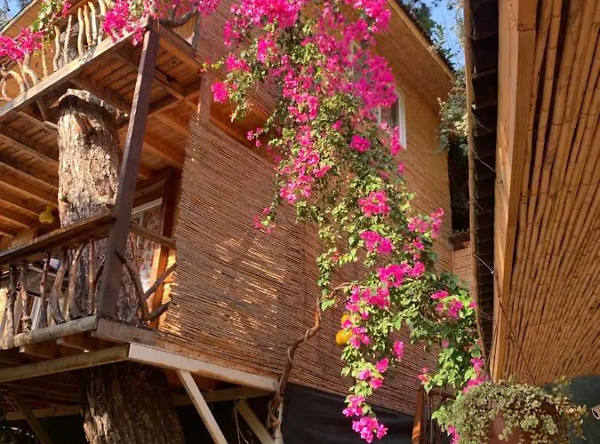 Large Bungalow With Sea View In Kabak Bay, Oeluedeniz Fethiye