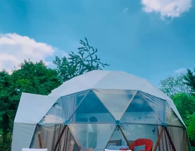 Phalesia Glamping Otel Sapanca