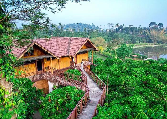 Niyatma Wayanad Pool Resort By Voye Homes - Inside Coffee Plantation
