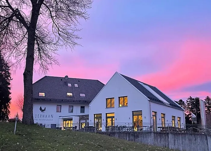 Hotel Auerhahn Nest Bad Wildbad
