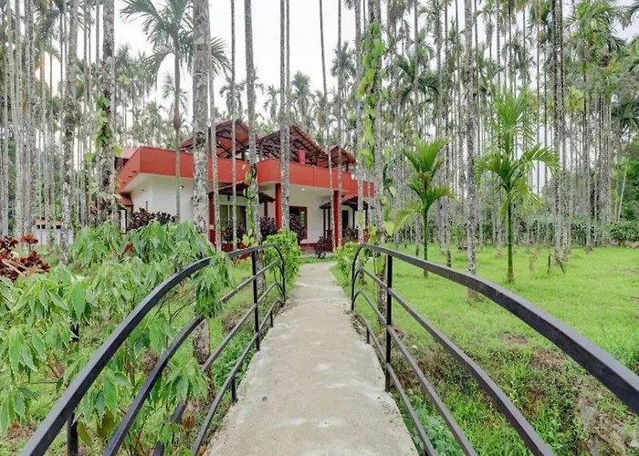Lazo Areca Resort , Coorg Madikeri